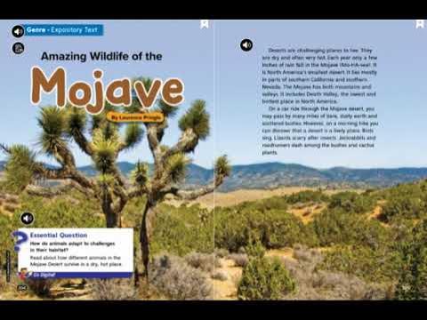 mojave desert fauna