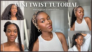HOW I INSTALLED MINI TWISTS ON MY TYPE 4 HAIR