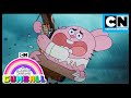 Not All Heroes Wear Capes The Hero Gumball Cartoon Network Not All Heroes Wear Capes The Hero Gumball Cartoon Network