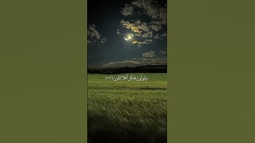 قل لمن الارض ومن فيها ان كنتم تعلمون#ياسر الدوسري#سورة المؤمنون#