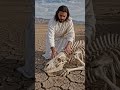✨ The Impossible Happened When Jesus Touched It 😭#jesuslovesyou #jesus #amen #oraçaoforte #oração