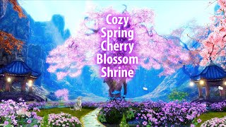 Cozy Spring Cherry Blossom Shrine ? ASMR Ambience (trickling water, birds, chimes)