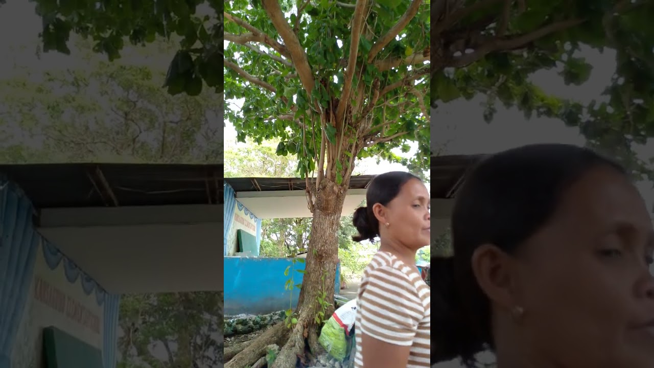 feeding again schedule every Monday by my group