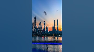 يعلمون ظاهرا من الحياة الدنيا#ياسر_الدوسري#قرآن#اكسبلور#سعودية#ياسر_الدوسرى#متابعين#سورة_الروم