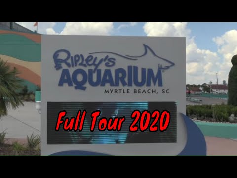 Ripley&rsquo;s Aquarium of Myrtle Beach Full Tour-  Myrtle Beach, South Carolina