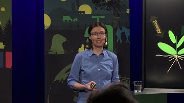 Giulia Vico: Agriculture and forests facing climate change: impacts and adaptation