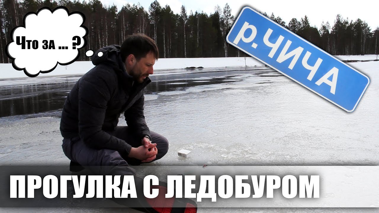 ПРОГУЛКА ПО РЕКЕ ЧИЧА / РЫБАЛКА / МОР РЫБЫ / БОЛОТО