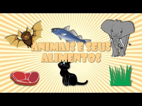 Vídeo: Por que alguns animais são onívoros?