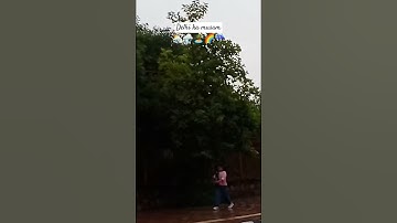 #aisa sama na hota#bollywood #youtubeshorts #love #shortvideo #song #viralvideo #trend #nature #