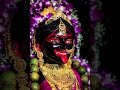মা শ্যামাসুন্দরী 🥀