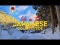 Countryside Japan 🌾 | Snow Melts as Spring Awakens ❄️→🌸 | Peaceful Rural Escape #traveljapan