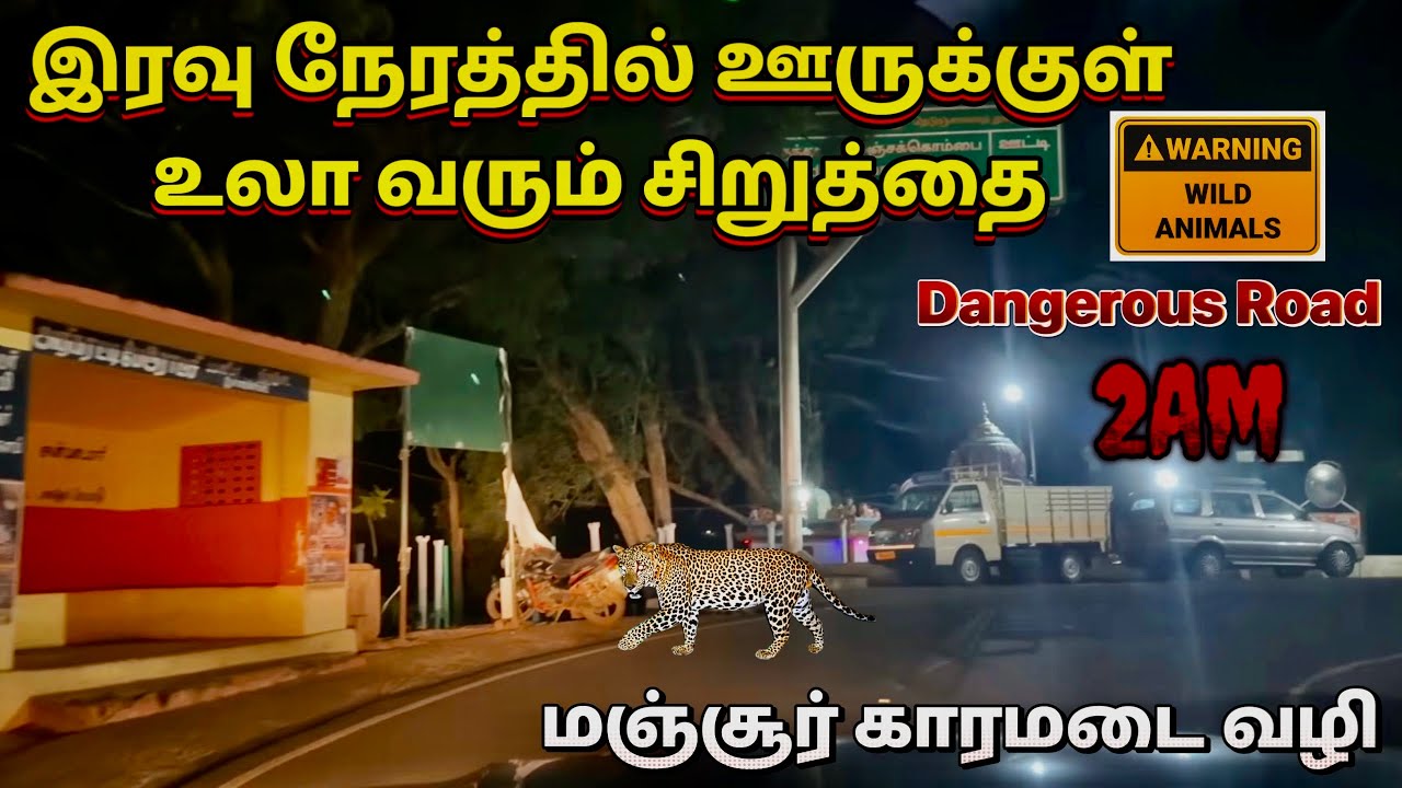 GEDDAI To KARAMADAI Midnight Ride Leopard 🐆 Spotted Dangerous GHAT ROAD😱 DONT GO THIS WAY