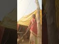 साड़ीया करियई के लाई