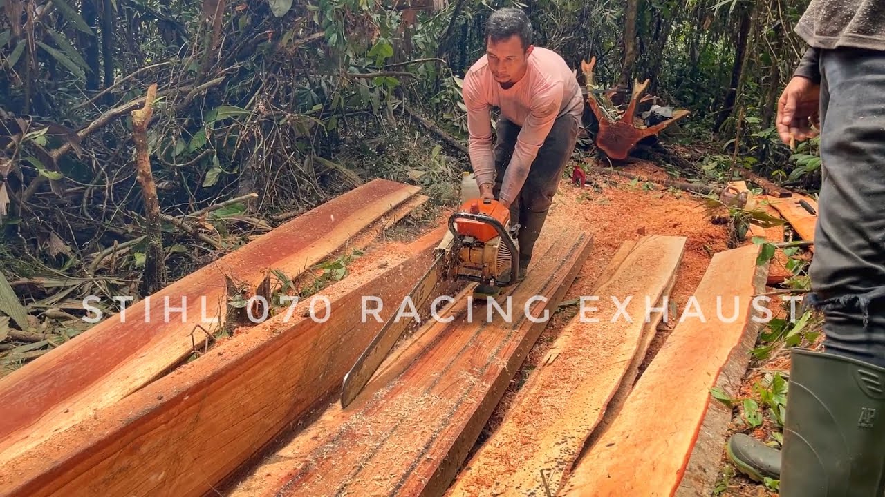 Excellent work‼️ Pengolahan kayu matoa super padat menjadi balok menggunakan mesin STIHL ms 070 