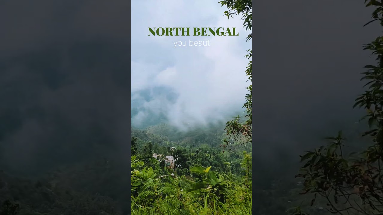 North Bengal my Happy Place⛰️🍃.....