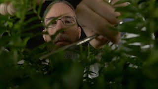 The Human-Plant Experiment | ASMR