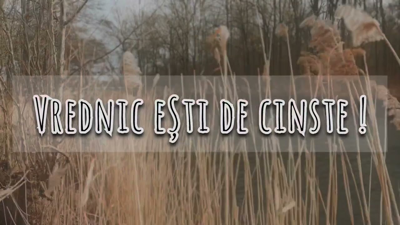 SALOMEEA STOICA l VREDNIC EȘTI DE CINSTE
