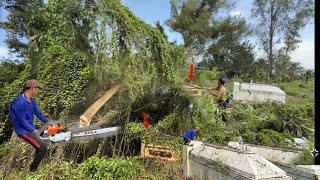 Download Lagu Nhóm Thiện Nguyện Chúng Tôi Dọn Dẹp Đám Cây Um Tùm Trong Đám Vị Tỳ Cho Sạch Đẹp  MP3