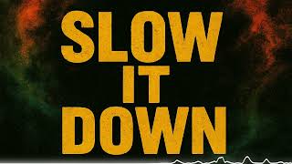 Dubwise One – Slow It Down (Algorithmic Dance Network Remix) 🔥 Moombahton / Dancehall Rework