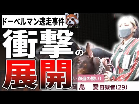 ドーベルマン脱走 実は窃盗だった！その内容がヤバすぎるｗ【千葉県 木更津市 ドーベルマン逃走】