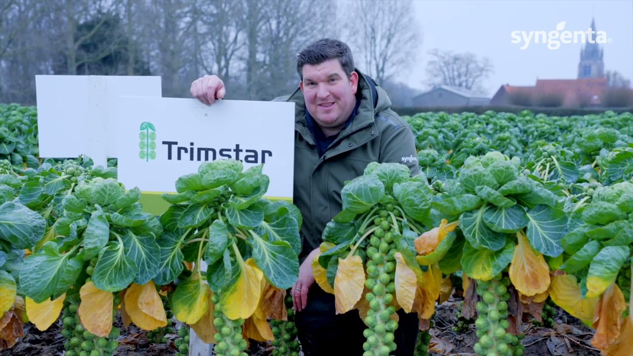 Ontdek onze toprassen!