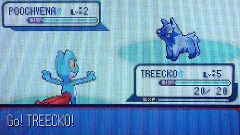 I soft reset over a shiny Treecko