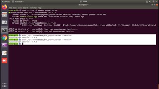 I Will Do Puppet Install Into Linux
