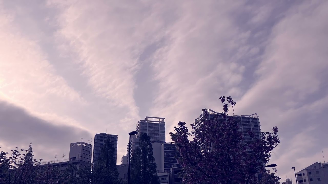 #サムライ #歌ってみた #カラオケ #歌下手 #昭和歌謡 #japanesesong #沢田研二 