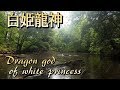 白姫龍神が棲む沼!あなたは見える?雨の大岩神社(京都の廃神社)黄色の蝶10羽に6分間案内される!
