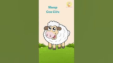 Farm Animals – Động Vật Nuôi | Song Ngữ Anh Việt cho Trẻ Em