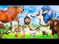 Long Slide Game with Colourful Duck Cow Tiger Gorilla Dog Elephant 3d Animal Game Funny 3d Animals