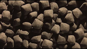 Who invented charcoal?