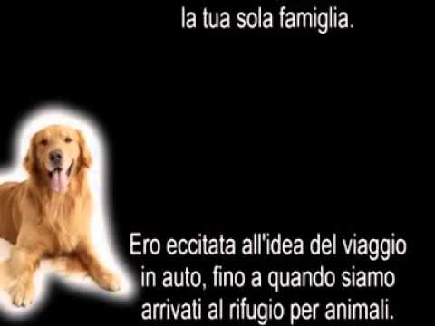 Lettera Di Un Cane Al Suo Padrone Youtube