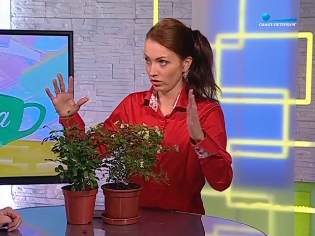 Виктория Логинова в программе "Беседка" - Мурайя