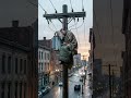 Dreams Above the City: Sleeping on the Wires at Midnight 🌙 #aishorts #viralshorts