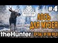 theHunter call of the wild #4 🔫 - Лось Для Музея - Оружие: Арбалет - Трофеи: Лось