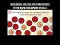 Oncological diseases are characterized by rapid development of cells #oncology #genetics #pathology