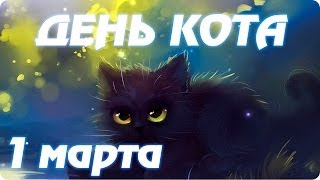 видео День кошек в Екатеринбургском зоопарке