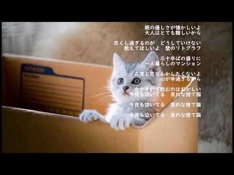 歌詞 猫