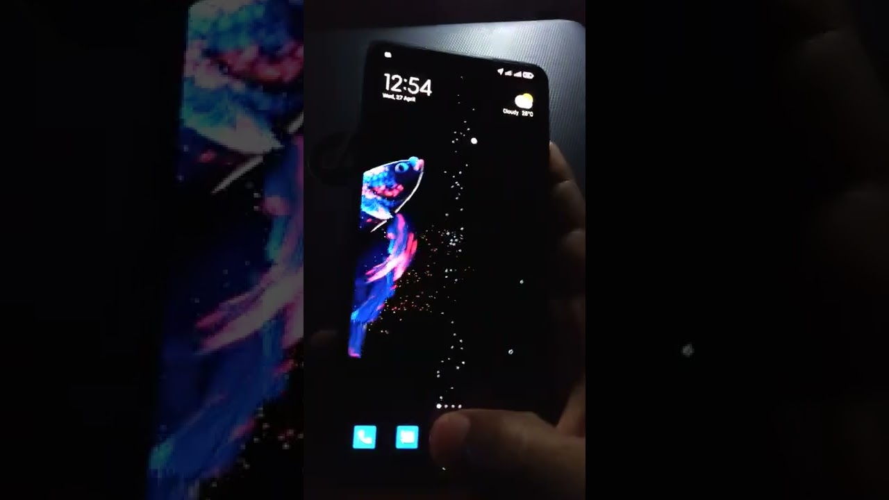 Betta Fish live wallpaper apk