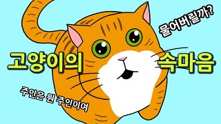 고양이의 속마음
