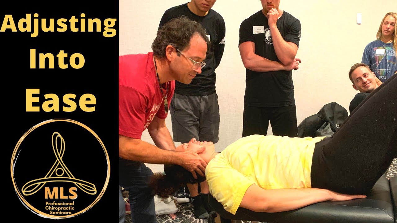 Adjusting Into Ease | Wade Port on Reading the Neurospinal System