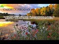 “Când te apasă îngrijorarea” Carmen Prodan - Versiune Originală, Completă - NOU 2019[Official audio]