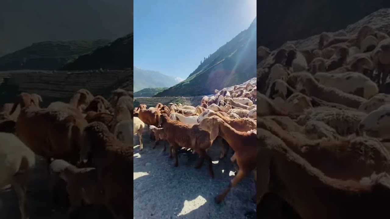 Natural beauty of Naran Valley | 