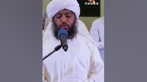 القارئ حسن إدريس محمود.