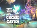 Orchid Caves of Kansas City