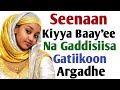 Seenaa Kiyya Baay Ee Na Gaddisiisa Gatiikoon Argadhe