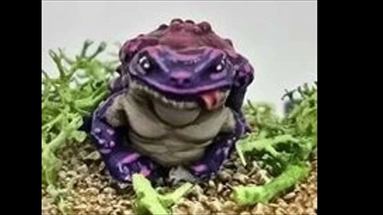 Fictional creatures profile Blot Toad