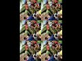 Dahi Handi Practice at Kevni Dive