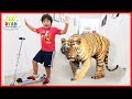 Ryan Pretend Play with Zoo animals for Children Hide and Seek!!!